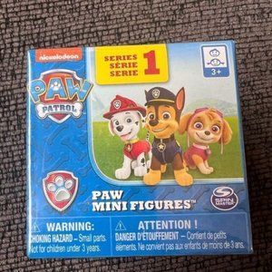 Paw patrol mystery figure